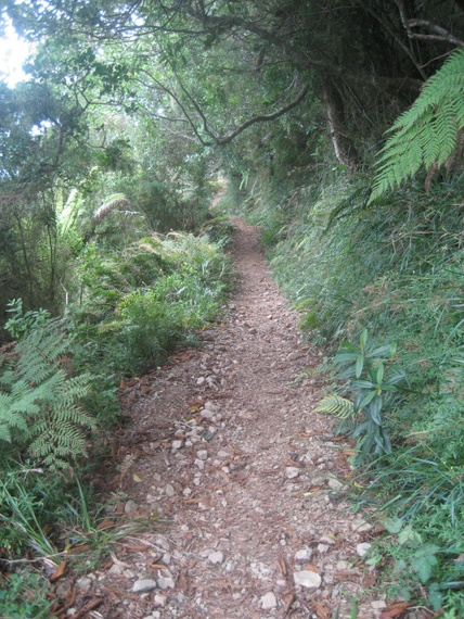 More trail