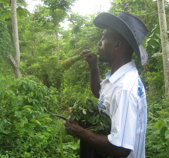 Local tour guide demonstrating how to blow a make shift abeng