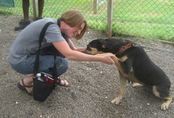 Getting acquainted with the Chukka Dogsled Dogs