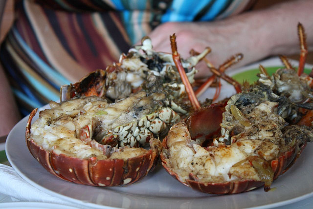 Lobster for lunch at Cynthia's, Winnifred Beach