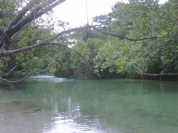 The river at Frenchman's Cove IMG00407-20100802-1036