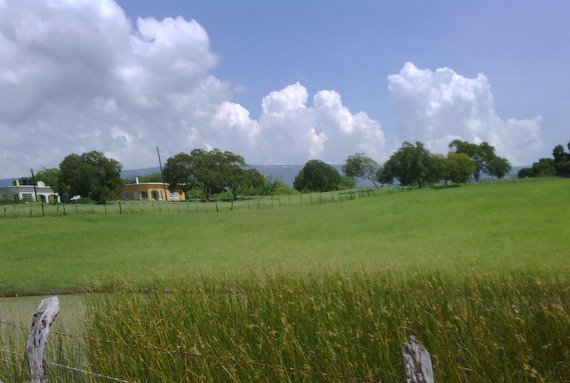 Treasure Beach, St. Elizabeth