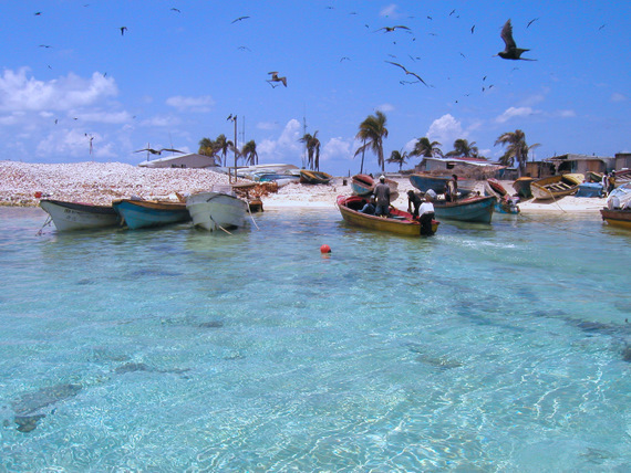 Pedro Bank fishing boats - Brandon Hay