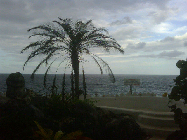 Great Huts pool view