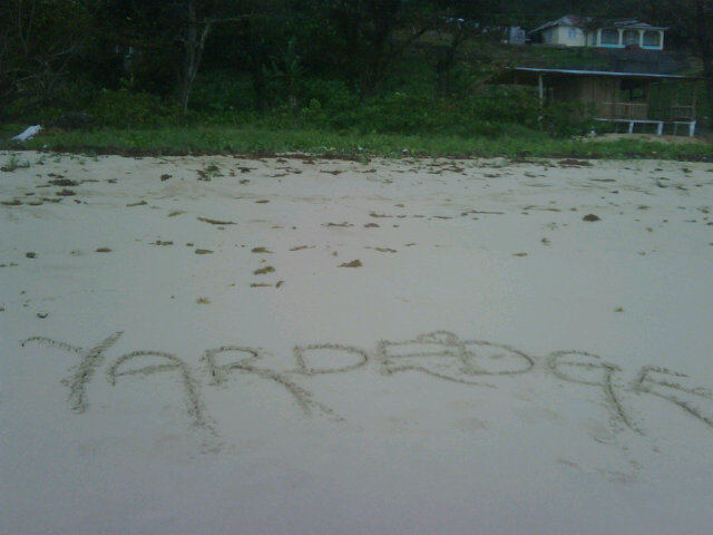 YardEdge beach logo