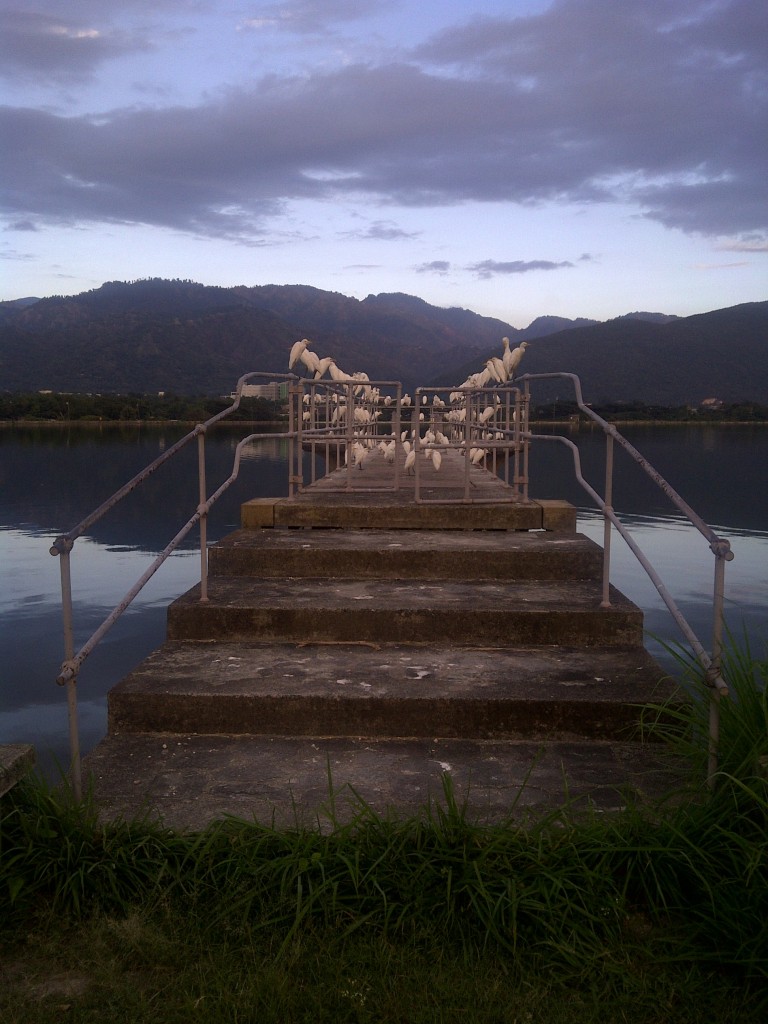 Mona Dam, Kingston, Jamaica