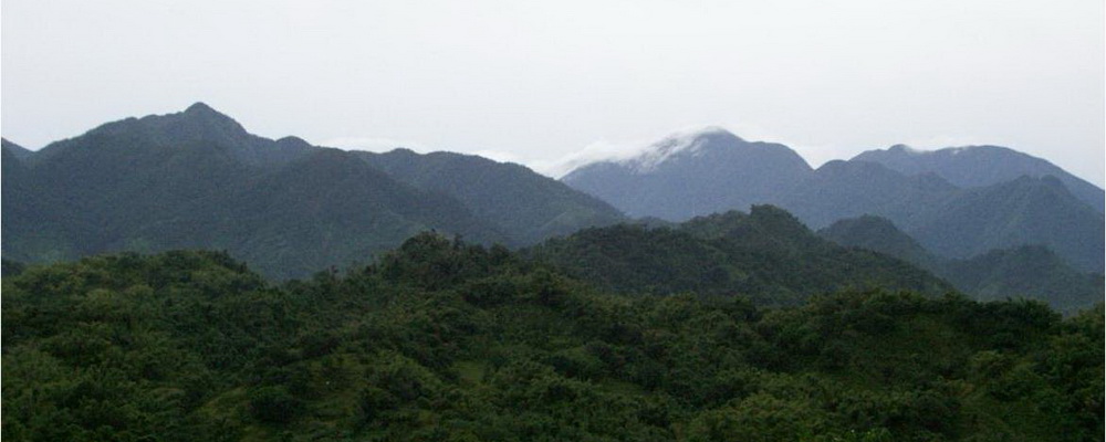 Jamaica's Blue Mountains