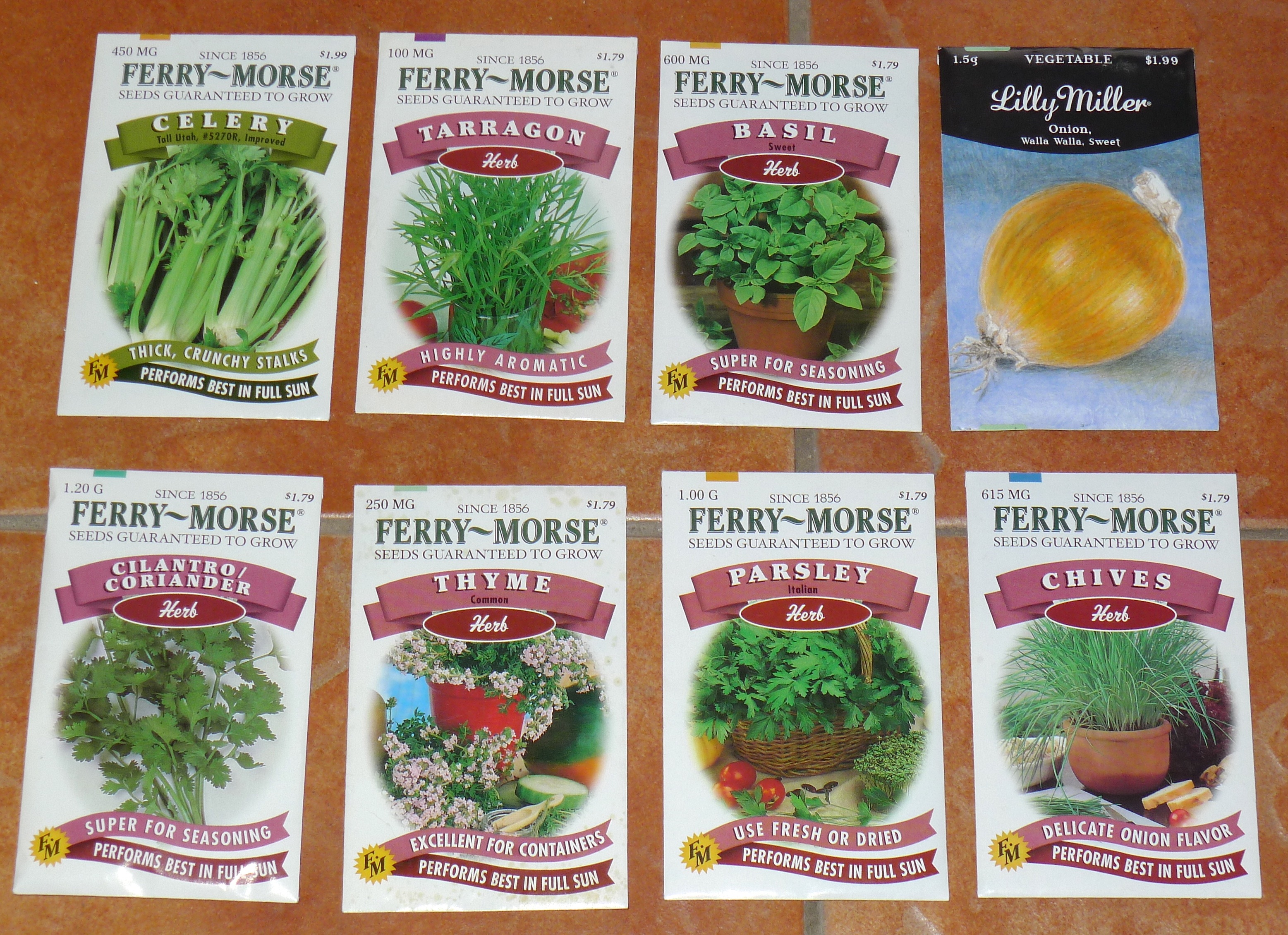 Seeds