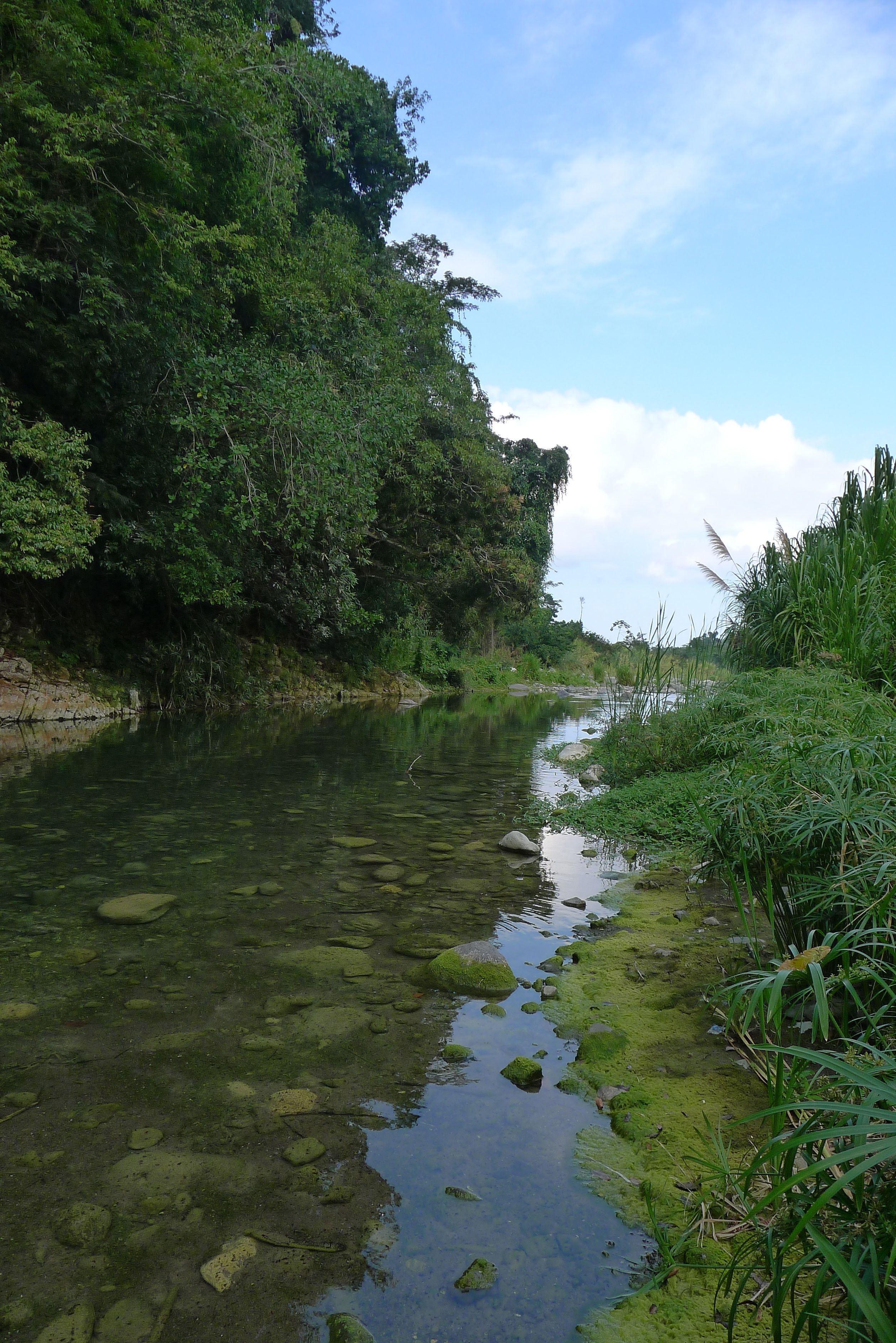 The Buff Bay River running through Charles Town, located in the Buff Bay Valley, Portland