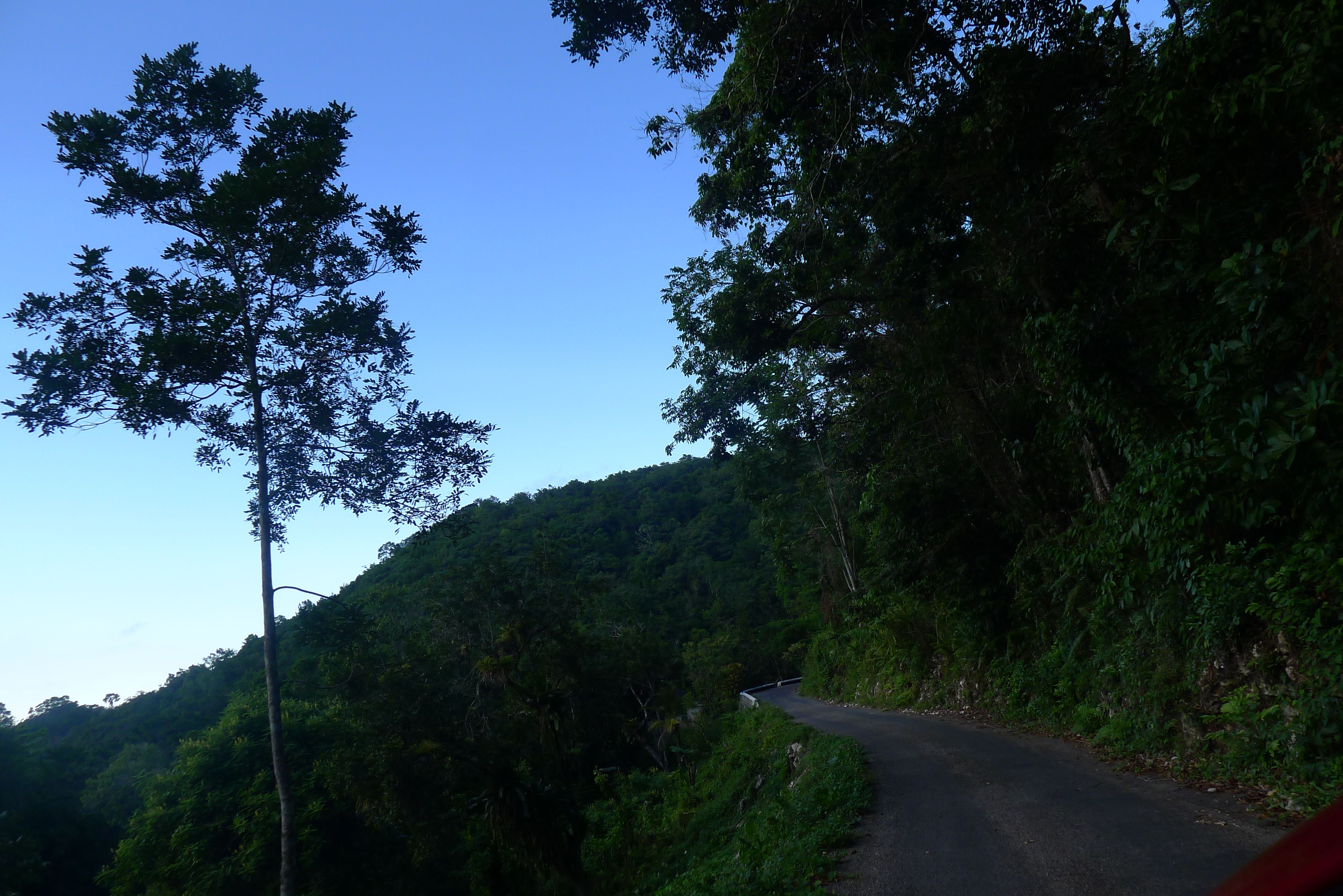 P1050836