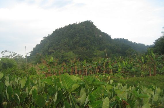 Jamaica's Cockpit Country