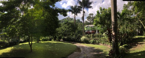 Belcour Lodge, St. Andrew