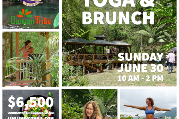 Yoga & Brunch at Belcour